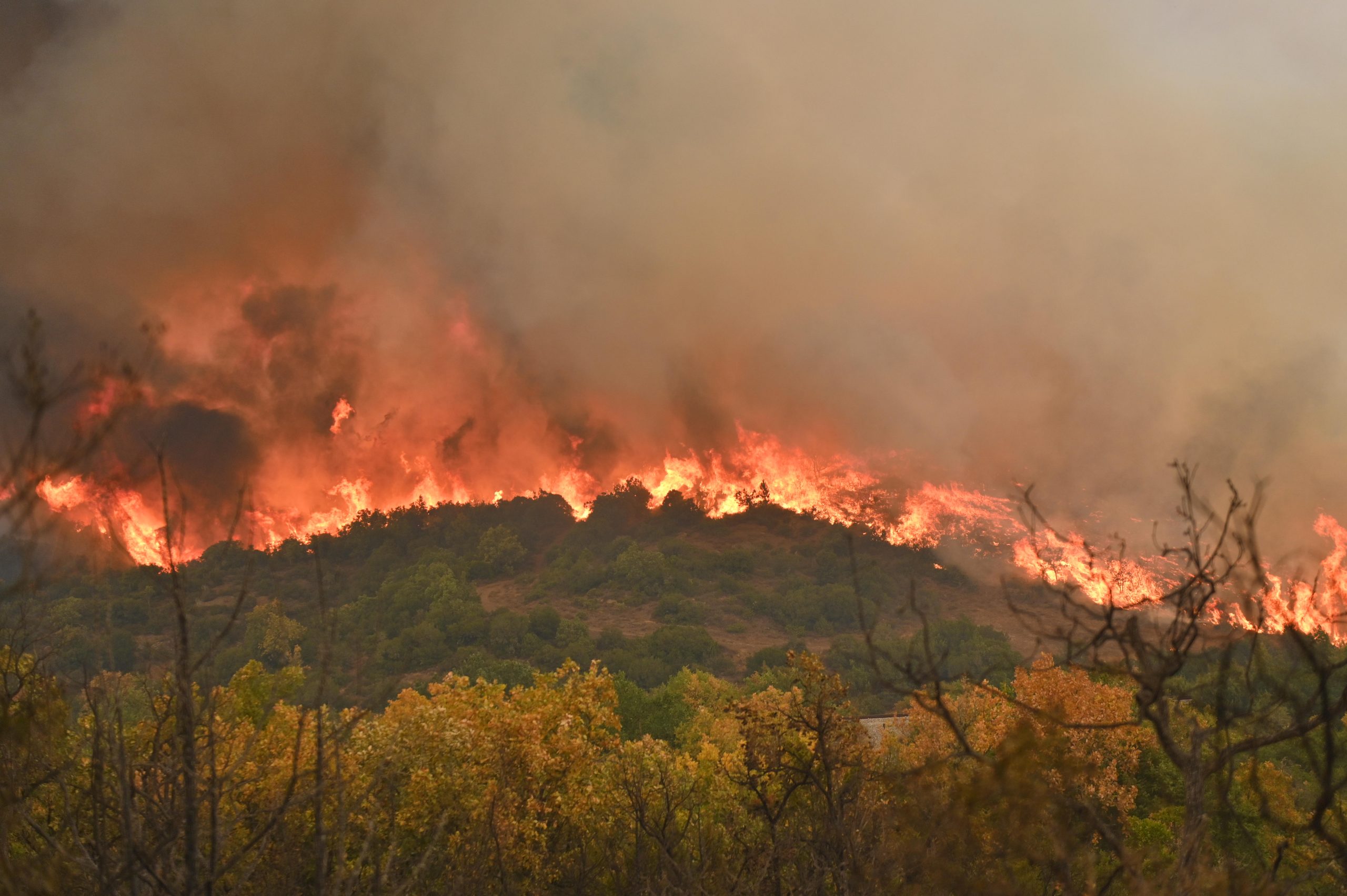 Δαδιά. Η φωτιά καίει για 11η ημέρα. Στάχτη 800 χιλ. στρέμματα. “Το δάσος δεν θα επανέλθει όπως το ξέραμε”