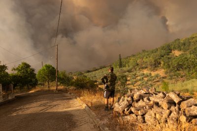 Περισσότερα από 4.000 αιγοπρόβατα κάηκαν στην Αλεξανδρούπολη. “Καταστραφήκαμε”, λένε οι κτηνοτρόφοι