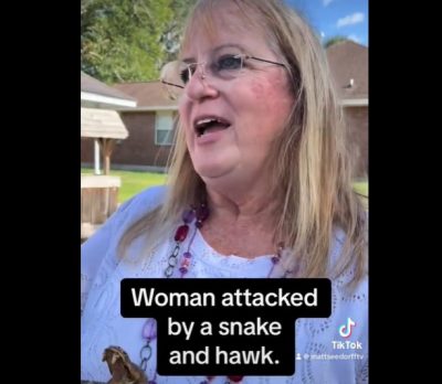 Απίστευτο περιστατικό στο Τέξας. Γυναίκα δέχθηκε ταυτόχρονη επίθεση από φίδι και γεράκι