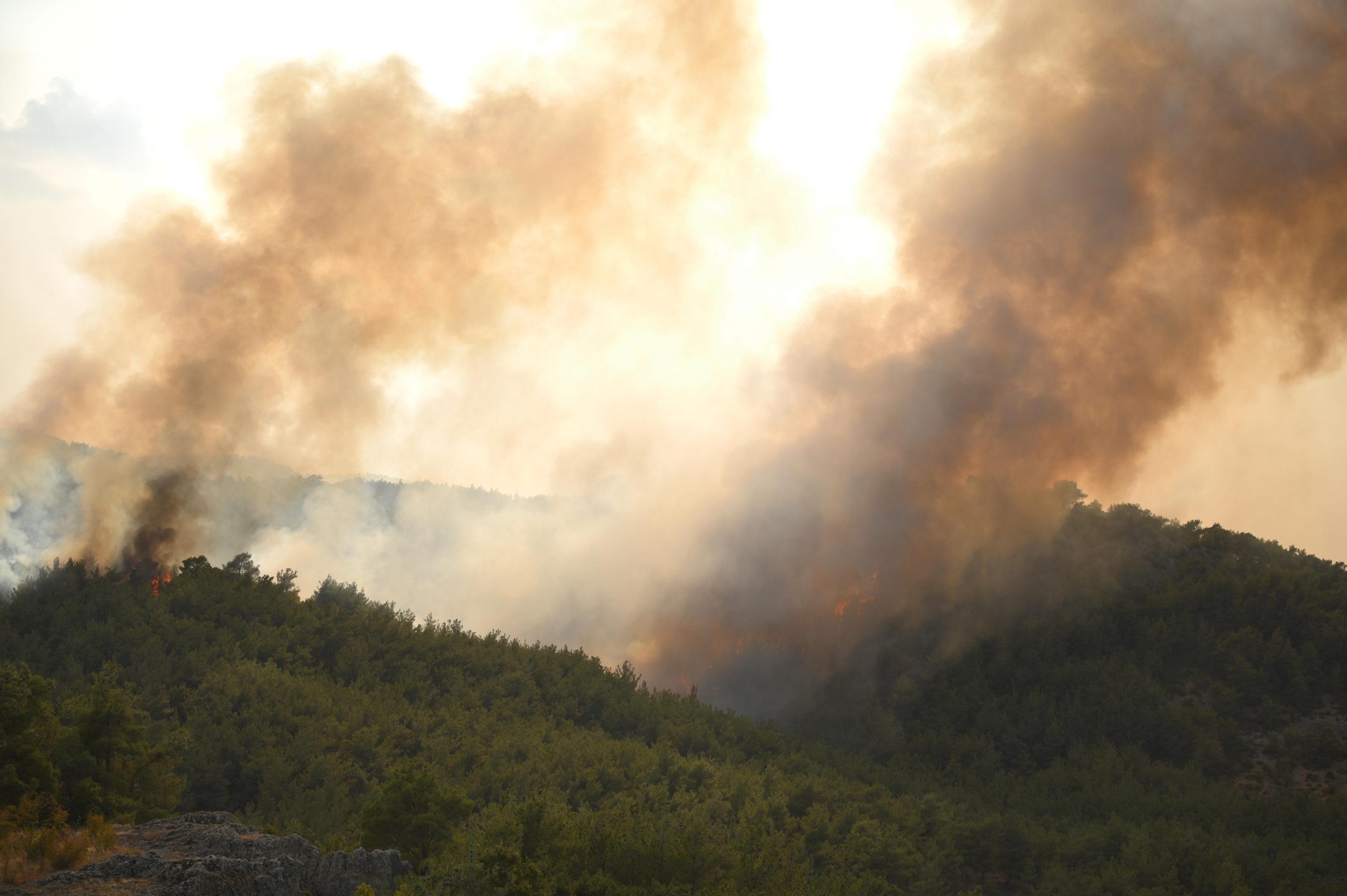 14η ημέρα που μαίνεται η φωτιά στον Έβρο. Γύρω από το Σουφλί οι φλόγες. Συνεχείς αναζωπυρώσεις