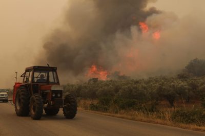 Κτηνοτρόφος στη Σάμο αποφυλακίστηκε μετά από 5 χρόνια για εμπρησμό και κατηγορείται ότι έβαλε πάλι φωτιά σε δασική έκταση