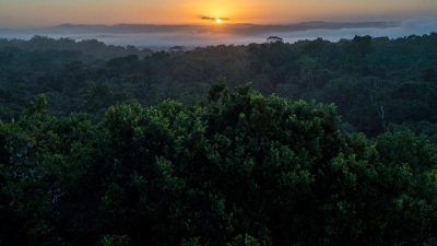 Αίσιο τέλος στην εξαφάνιση τεσσάρων Γάλλων τουριστών στη ζούγκλα της Γουατεμάλας