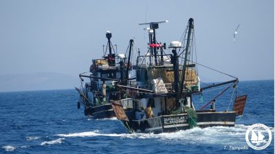 Καταστροφική και παράνομη αλιεία από τουρκικές μηχανότρατες στο ΒΑ Αιγαίο καταγγέλλει το Ινστιτούτο «Αρχιπέλαγος» (Φωτο)