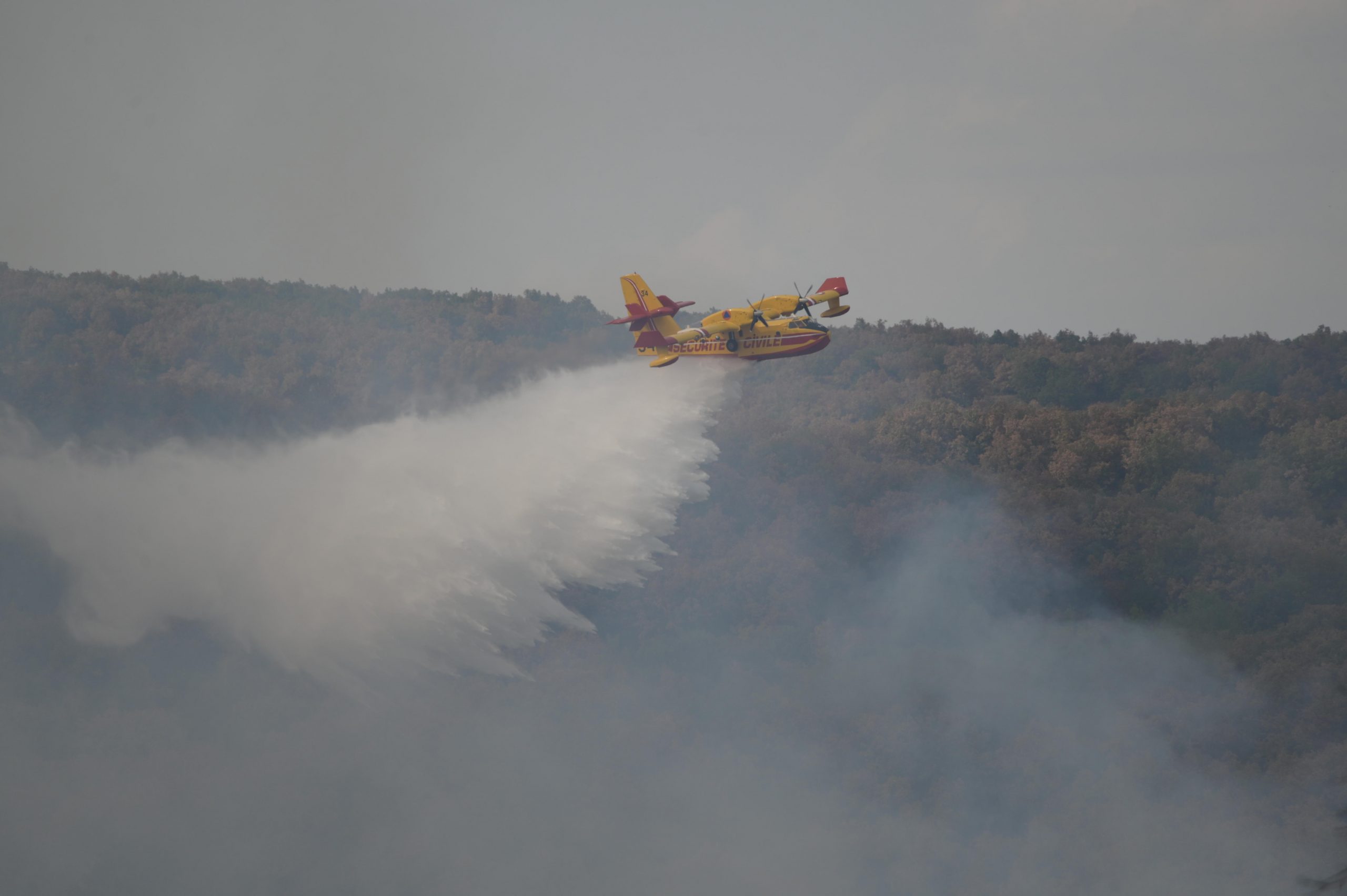 Ο Έβρος καίγεται για 15η μέρα. Συνεχίζεται η ανυπολόγιστη οικολογική καταστροφή στο δάσος της Δαδιάς