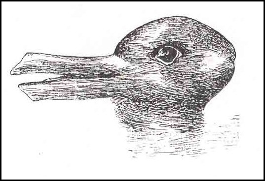 Duck-Rabbit_illusion_framed