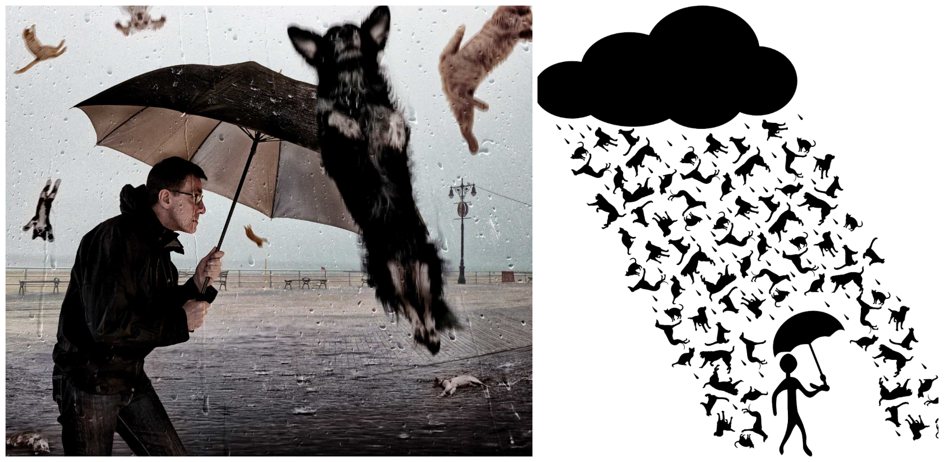 collage_rain_cats_dogs