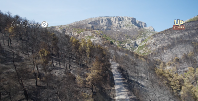 Η Φυλή πριν και μετά την πυρκαγιά. Δείτε από ψηλά την οικολογική καταστροφή του “πνεύμονα” της Αθήνας (drone)