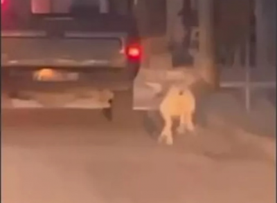 Συνελήφθη στο Ξυλόκαστρο οδηγός που έσερνε σκύλο με το όχημα του