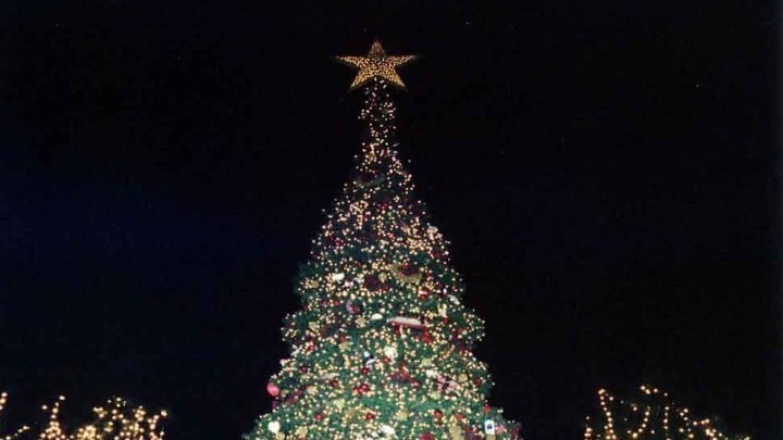 Δείτε live τη φωταγώγηση του χριστουγεννιάτικου δέντρου της Αθήνας