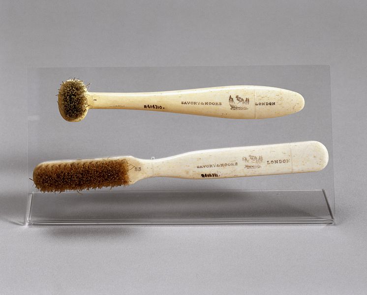 Toothbrush_with_horsehair_bristles