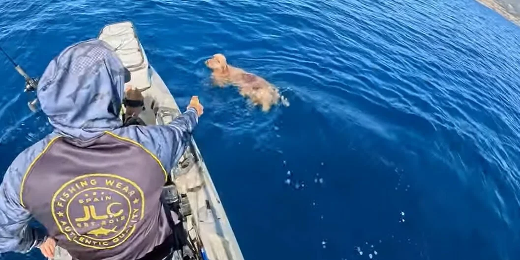 Πάρος. Βγήκε για ψάρεμα με το καγιάκ και διέσωσε σκύλο που κολυμπούσε μεσοπέλαγα! Δείτε το βίντεο