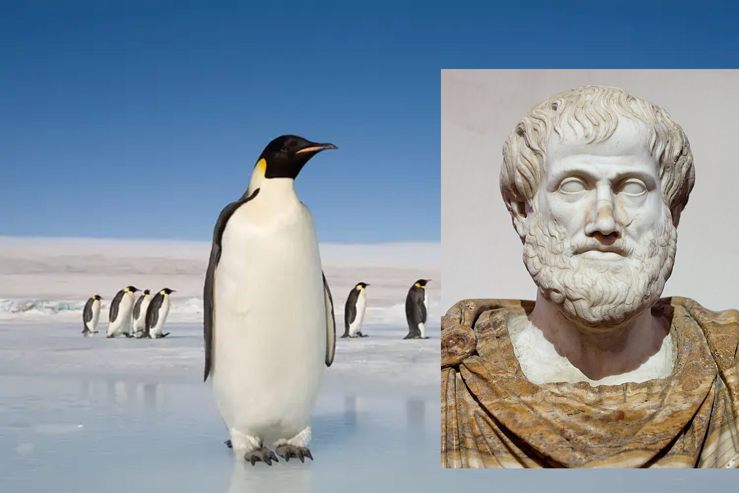Ανταρκτική. Η Ήπειρος που πρώτος ανέφερε ο Αριστοτέλης, αν και ανακαλύφθηκε 2000 χρόνια αργότερα! Γιατί την ονόμασε έτσι