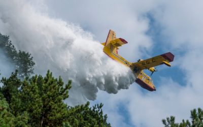 Σε εξέλιξη  φωτιά  στα Τζουμέρκα, επιτόπου επίγειες και εναέριες δυνάμεις. Yπό μερικό έλεγχο η πυρκαγιά σε χαμηλή βλάστηση στην Πιερία.