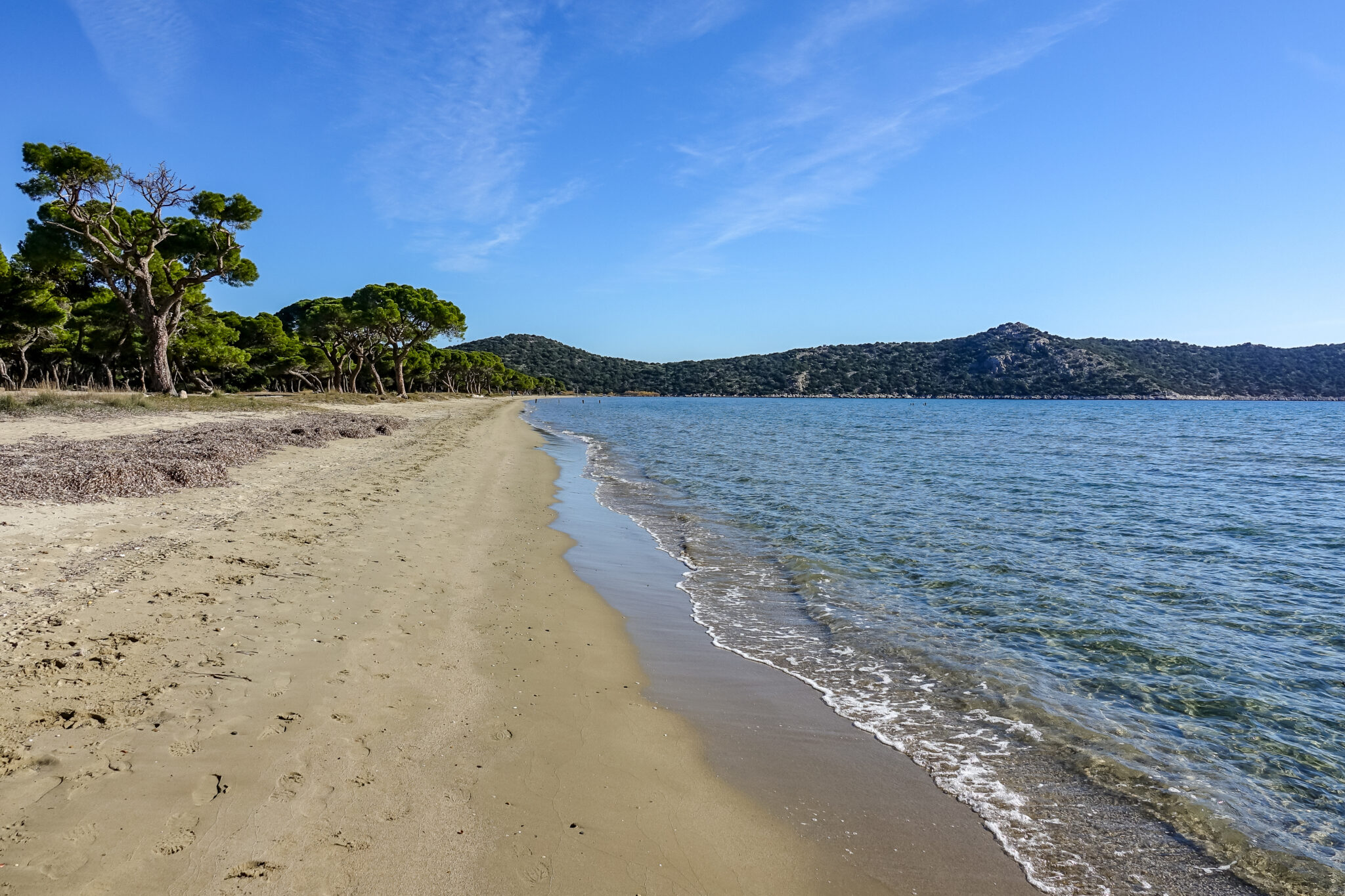 Ανατροπή στην υπόθεση της σορού άνδρα που βρέθηκε με βαρίδι στο Σχοινιά. Το σημάδι στο πόδι δεν ήταν τατουάζ