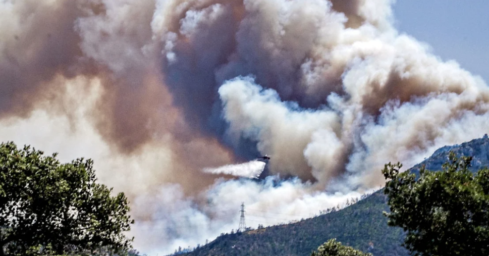 Φωτιά στο δάσος της Πάρνηθας, στη θέση Κατσιμίδι. Κατευθύνεται προς Τατόι. Ισχυροί άνεμοι πνέουν στην περιοχή (βίντεο)