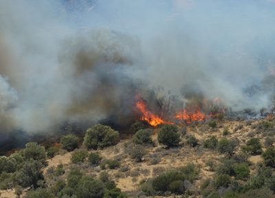 Φωτιά στο Ρέθυμνο. Βελτιωμένη εικόνα. Μάχη με τις αναζωπυρώσεις από τους πυροσβέστες