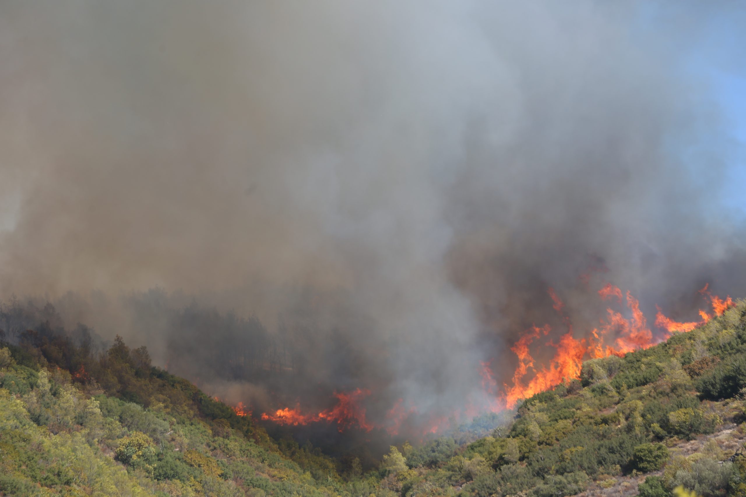 Φωτιά σε Χανιά και Όλυμπο σε δύσβατο σημείο. Επιτόπου επίγειες και εναέριες δυνάμεις