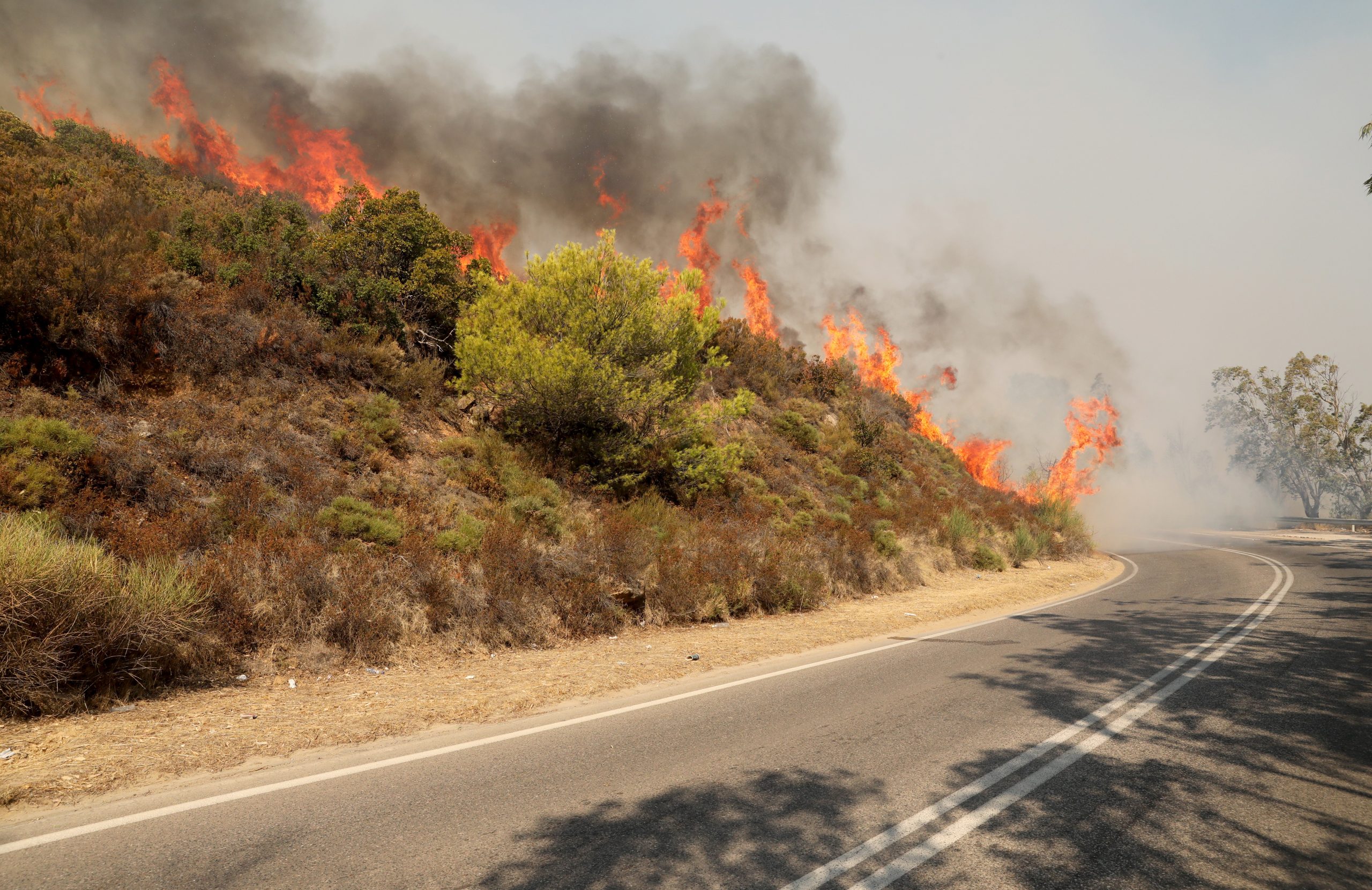 Συνελήφθησαν δύο ανήλικοι για τη φωτιά στην Τερψιθέα Γλυφάδας