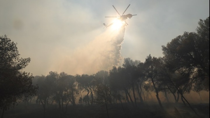 Σχεδόν 15.000 στρέμματα έχουν καεί στο Παγγαίο όρος στην Καβάλα. Όγδοη ημέρα πυρκαγιάς. Καλύτερη εικόνα σύμφωνα με την Πυροσβεστική