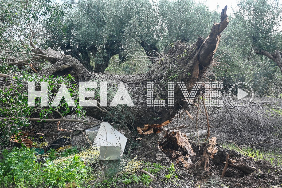 Σήκωσε τσουλήθρα στον αέρα ανεμοστρόβιλος στην Ηλεία. Ζημιές σε κατοικίες και καλλιέργειες (βίντεο)